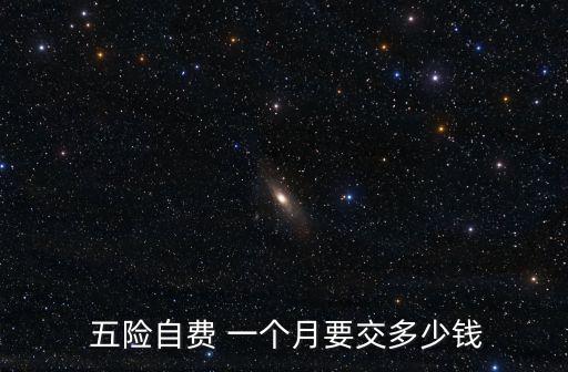 五險(xiǎn)自費(fèi) 一個(gè)月要交多少錢