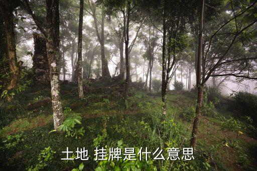 掛牌出讓,天水市2023年國(guó)有土地使用權(quán)掛牌出讓