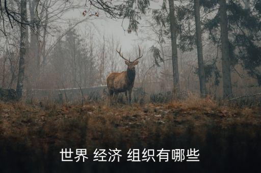世界 經(jīng)濟 組織有哪些