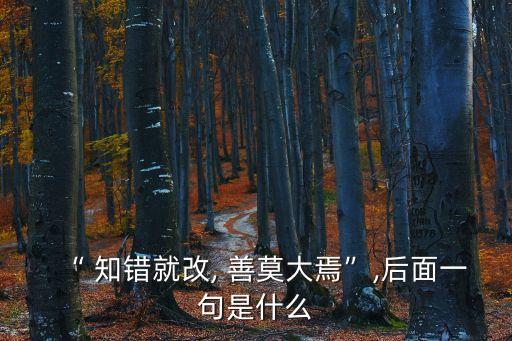 “ 知錯就改, 善莫大焉”,后面一句是什么
