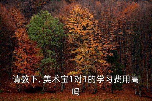 請教下, 美術(shù)寶1對1的學(xué)習(xí)費(fèi)用高嗎