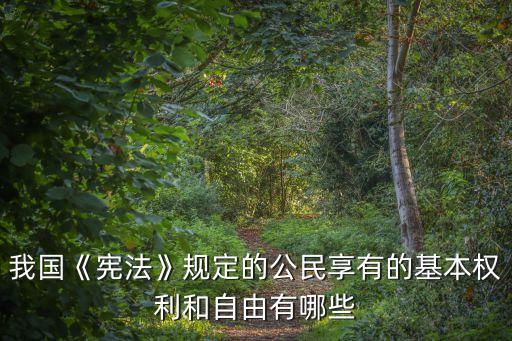 訴愿權(quán)
