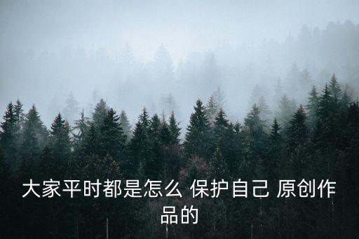 大家平時(shí)都是怎么 保護(hù)自己 原創(chuàng)作品的