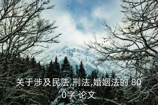 關(guān)于涉及民法,刑法,婚姻法的 800字 論文