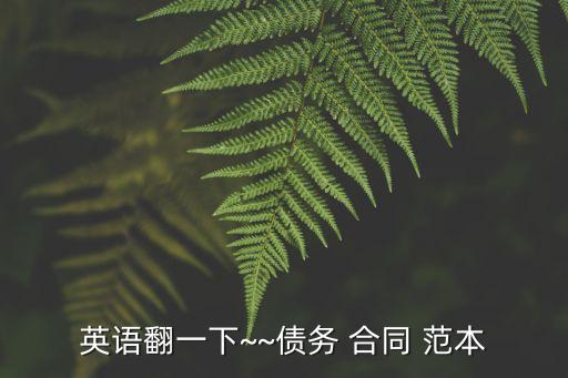 英語(yǔ)翻一下~~債務(wù) 合同 范本