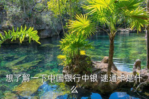 想了解一下中國(guó)銀行中銀 速通卡是什么