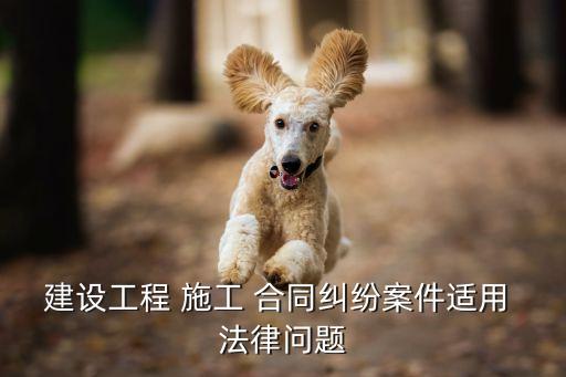 建設工程 施工 合同糾紛案件適用 法律問題