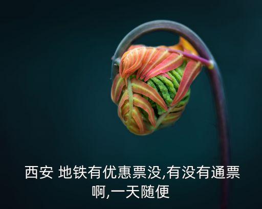 西安地鐵票怎么買,第一次坐地鐵詳細(xì)流程視頻演示