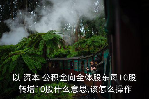 以 資本 公積金向全體股東每10股 轉增10股什么意思,該怎么操作