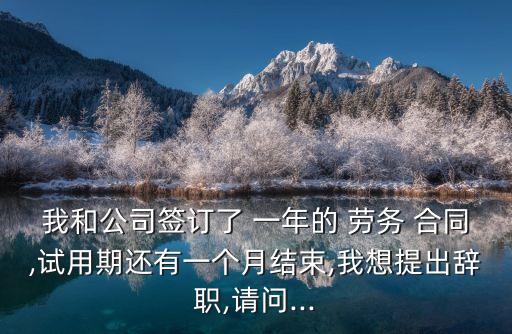 我和公司簽訂了 一年的 勞務(wù) 合同,試用期還有一個月結(jié)束,我想提出辭職,請問...