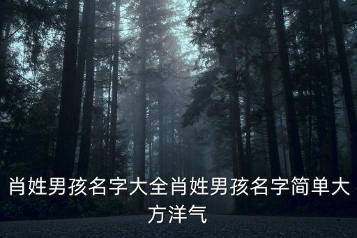 肖姓男孩名字大全肖姓男孩名字簡(jiǎn)單大方洋氣