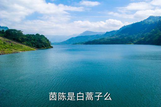 茵陳是白蒿子么
