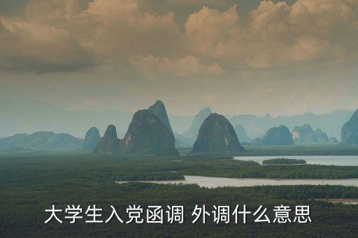 大學(xué)生入黨函調(diào) 外調(diào)什么意思
