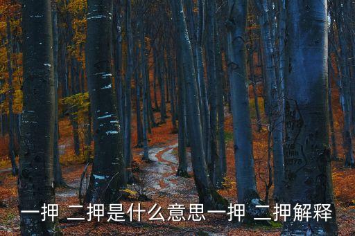 一押 二押是什么意思一押 二押解釋