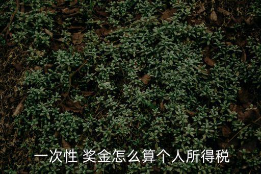  一次性 獎(jiǎng)金怎么算個(gè)人所得稅