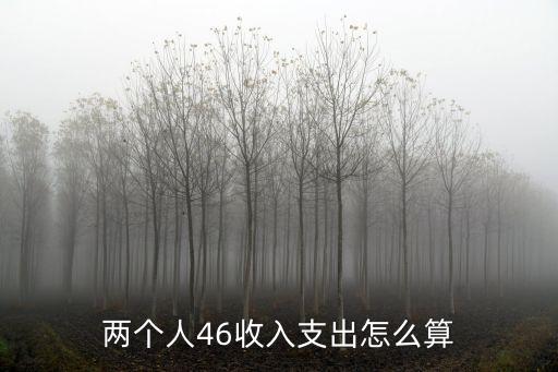 兩個(gè)人46收入支出怎么算