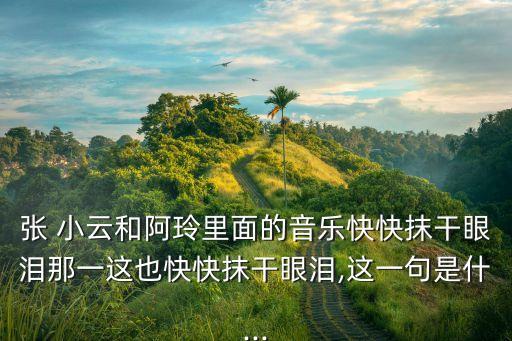 張小云