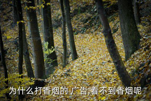 煙草廣告,民國(guó)時(shí)期的煙草廣告