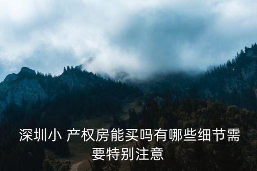 深圳小產(chǎn)權(quán)房