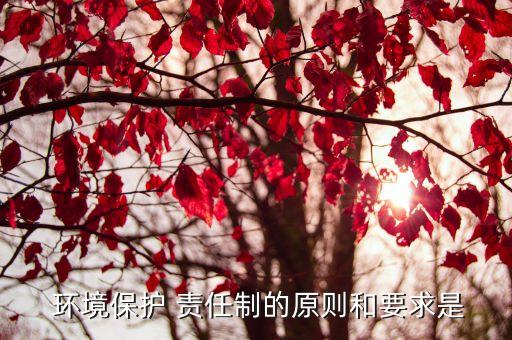 環(huán)境責(zé)任