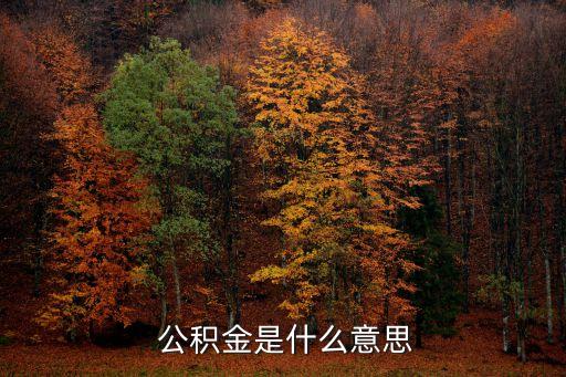 公積金是啥,年終結(jié)息公積金是啥