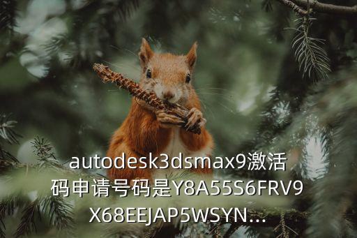 autodesk3dsmax9激活碼申請?zhí)柎a是Y8A55S6FRV9X68EEJAP5WSYN...