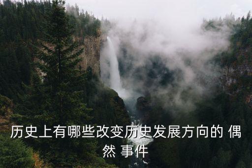 歷史上有哪些改變歷史發(fā)展方向的 偶然 事件