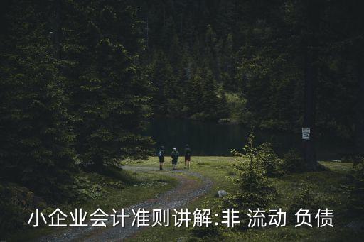 非流動(dòng)負(fù)債
