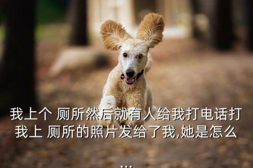 廁所照片