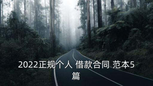 2022正規(guī)個人 借款合同 范本5篇