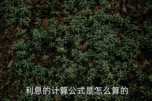 利息等于,稅后利息等于