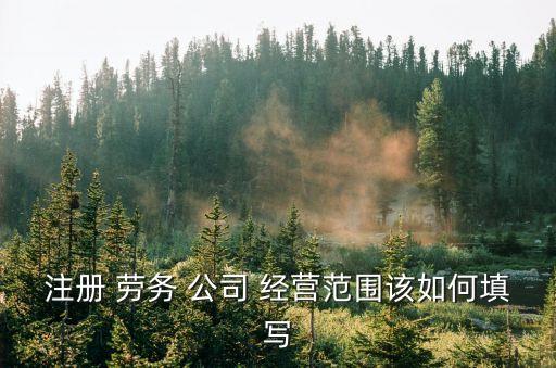 勞務(wù)咨詢公司經(jīng)營范圍,技術(shù)咨詢公司的經(jīng)營范圍