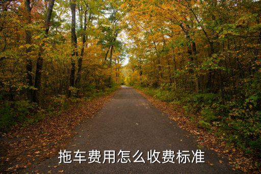叫個(gè)拖車多少錢,叫拖車多少錢一次一千米