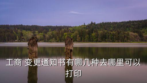 工商 變更通知書(shū)有哪幾種去哪里可以打印