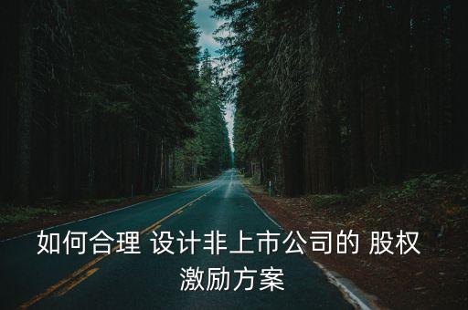 如何合理 設(shè)計(jì)非上市公司的 股權(quán) 激勵(lì)方案