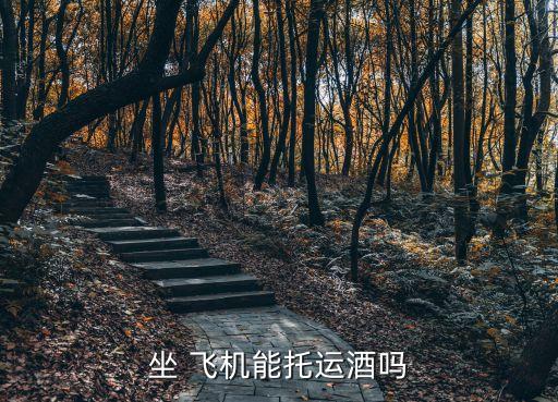 坐 飛機能托運酒嗎
