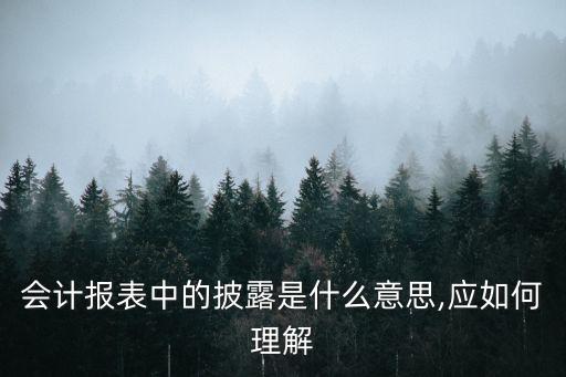 會計報表中的披露是什么意思,應如何理解