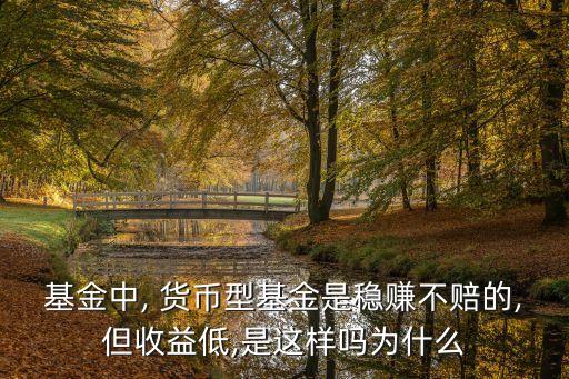 貨幣型