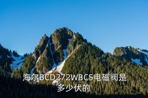  海爾BCD272WBCS電磁閥是多少伏的