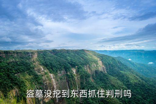 盜墓罪