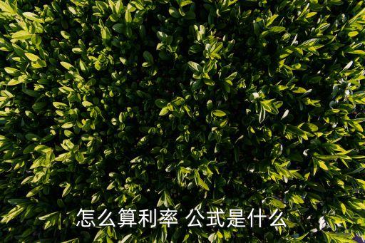 怎么算利率 公式是什么