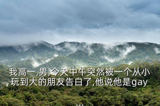 我高一,男,今天中午突然被一個(gè)從小玩到大的朋友告白了,他說他是gay...