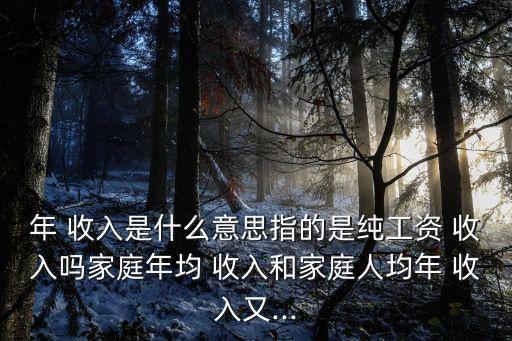 收入是什么意思,一般公共預算收入是什么意思