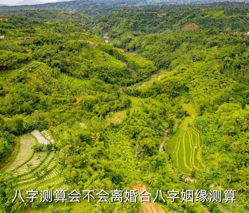 八字測算會不會離婚合八字姻緣測算