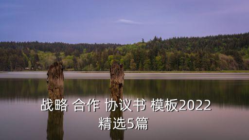  戰(zhàn)略 合作 協(xié)議書 模板2022精選5篇