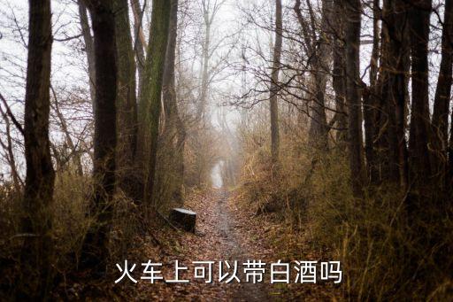 酒能帶上火車嗎,未拆封的白酒能帶上火車嗎