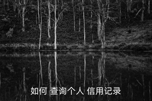 如何 查詢個(gè)人 信用記錄