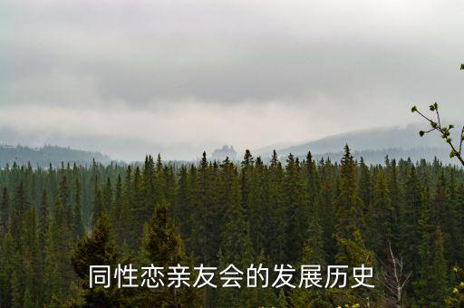 武漢同志聊天室