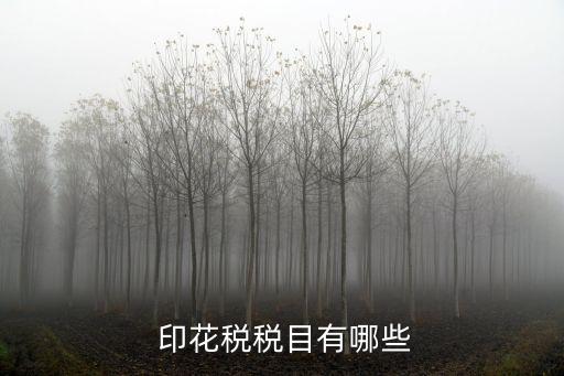 印花稅征稅范圍,財(cái)產(chǎn)保險(xiǎn)合同印花稅征稅范圍