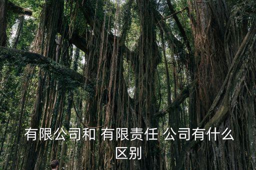 有限公司和有限責(zé)任公司的區(qū)別,有限責(zé)任公司